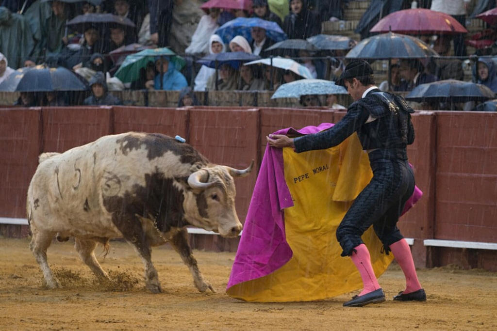Toro y torero bajo la lluvia