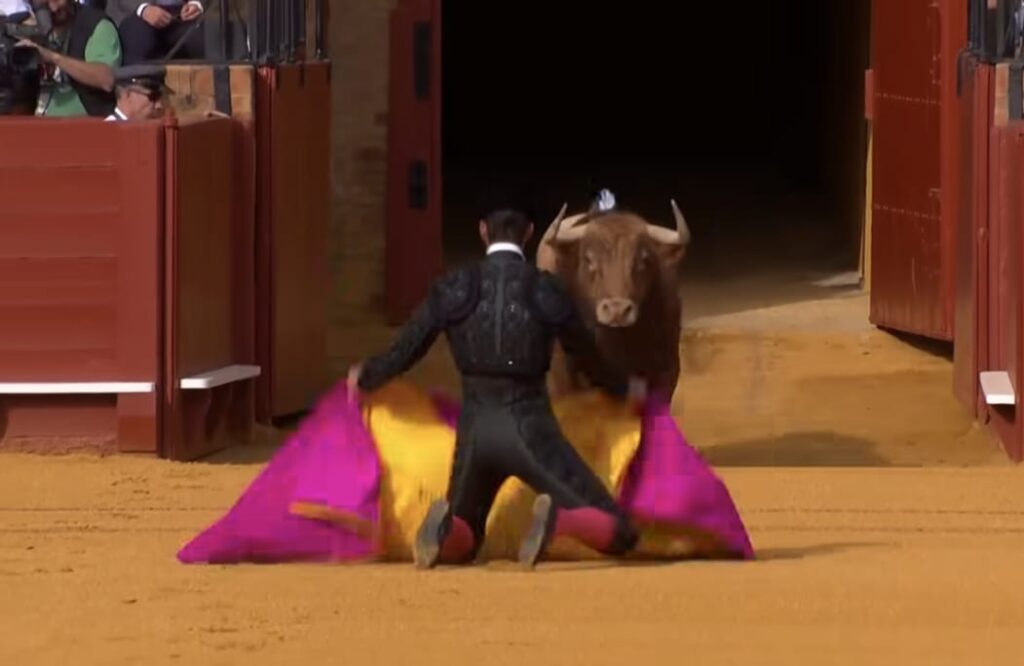 WhatsApp Image 2026 04 11 at 23.29.45