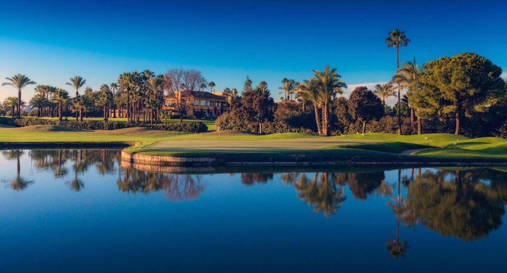 WhatsApp Image 2026 04 14 at 23.24.44 2