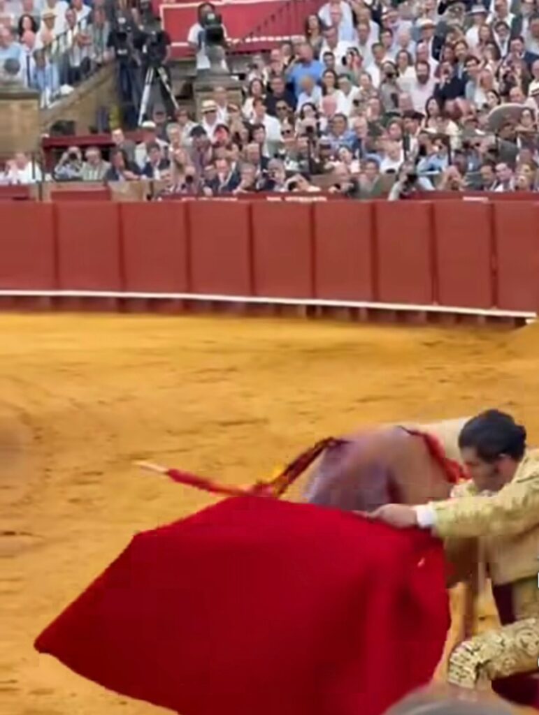 WhatsApp Image 2026 04 16 at 21