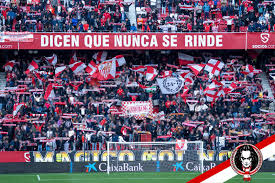 descarga 20