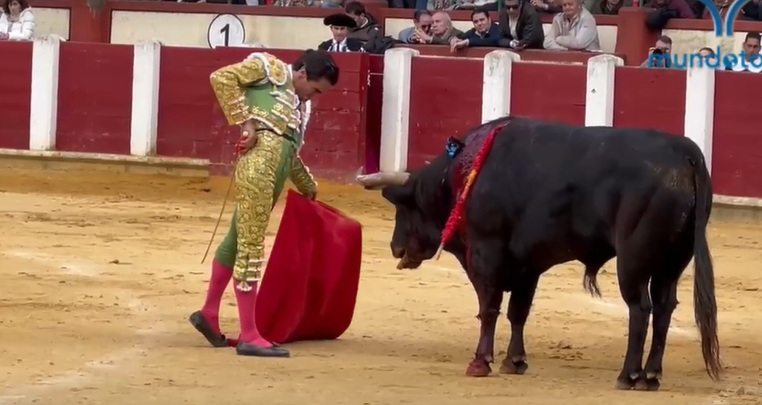 Captura de pantalla 2026 05 10 222600