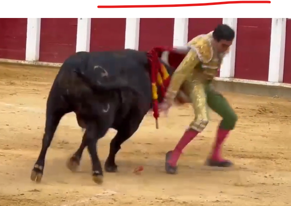 Captura de pantalla 2026 05 10 222718